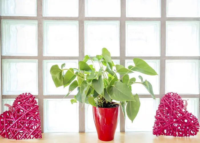 Kleine, Feine Sonnwend